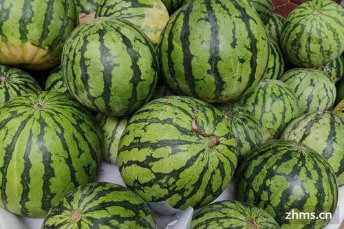 吃瓜网免费吃瓜黑,揭秘网络狂欢背后的秘密